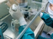 Американские эпидемиологи активизировали поиск антител для лечения лихорадки Эбола