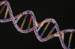 Для проекта «Личный геном» в Великобритании ищут добровольцев для создания в Интернете бесплатной базы данных ДНК
