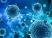 Тип бактерий в ротовой полости связан с риском развития рака легких