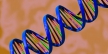 Ученые ''редактируют'' ДНК, чтобы изменять гены взрослых организмов ради излечения