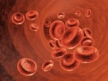 Иммунная система регулирует стволовые клетки крови