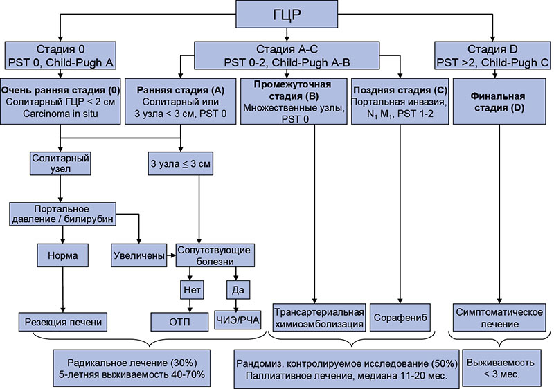 Современная тактика лечения гепатоцеллюлярного рака uMEDp