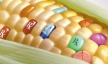 Роспотребнадзор намерен усилить ответственность за отсутствие информации о ГМО на упаковке