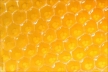 Мед оказался способен бороться с антибиотикоустойчивыми бактериями
