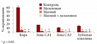 Рис. 8. Количественная оценка данных окрашивания на каспазу-3 на единицу площади различных зон гиппокампа