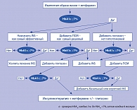 Рисунок. 1 ADA/EASD консенсус для СД 2 типа (Nathan D. Diabetologia 2006; 49:1711−21.)