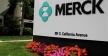 Квартальный объем продаж Merck&Co. снизился на 11%