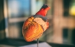 Взаимосвязь азитромицина с острой сердечной недостаточностью 