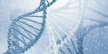 Верховный суд США запретил патентование природной ДНК