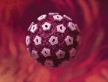 Исследование: ученые проверили эффективность новой вакцины против ВПЧ
