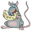 Биологи научились заражать мышей ожирением