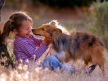 Найдено объяснение противоаллергическому влиянию собак на детей