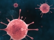 НПВС могут снижать выработку антител против коронавируса