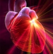 Ученые создали волокна, помогающие восстановить поврежденные ткани сердца