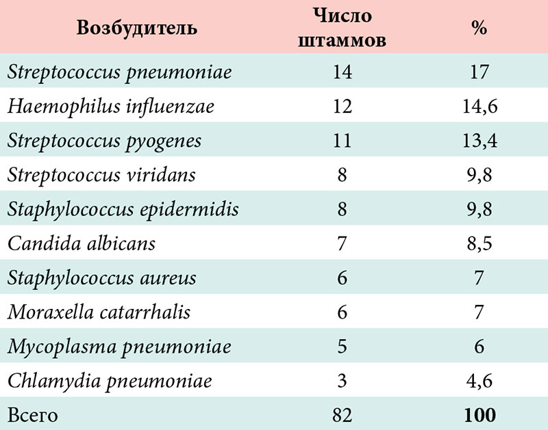 Staphylococcus aureus 10 5