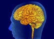 Неврологи создали биологический "выключатель" для мозга