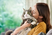 Purina представила первый и единственный корм для кошек, который сокращает количество аллергенов на кошачьей шерсти