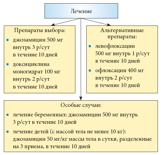 ВПЧ лечение у женщин и мужчин (вирус папилломы человека) - цены в Москве