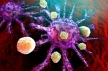 Ученые нашли новый подход к лечению рака поджелудочной железы