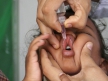 Полиомиелит в Сирийской Арабской Республике – обновленная информация