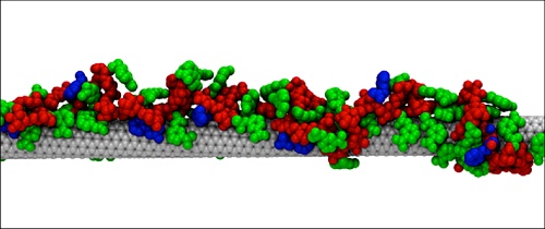 Углеродная нанотрубка с фрагментом полимерного покрытия и веществом, которое смогло связаться с трубкой в присутствии полимера (рисунок авторов работы).