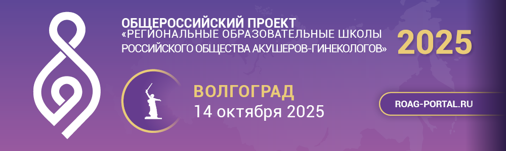 Banner_Sh-ROAG25_1000х300_2.png