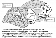 Рис. 1. Зоны мозга, ответственные за творческое озарение