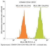 Рис. 2. Количество НГ субпопуляции СD66b+CD16+CD33+HLA-DR+ при септикопиемической форме острого гематогенного остеомиелита тяжелого течения