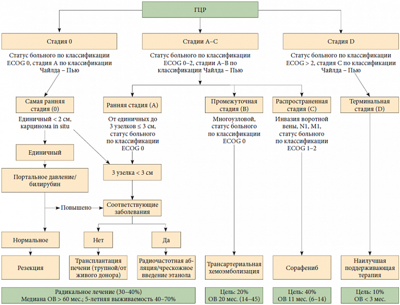 Гепатоцеллюлярная карцинома классификация. ГЦР классификация. Гепатоцеллюлярная карцинома стадии. BCLC классификация. Терапия рака печени