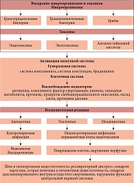 Патогенез заболевания