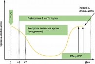 Рисунок 1. Схема мобилизации КПГ  после миелосупрессивной химиотерапии