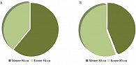Рис. 2. Распределение пациентов с ГЭРБ в зависимости от величины окружности талии: A – мужчины; Б − женщины