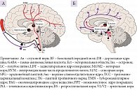 Рис. 1. Патофизиология головной боли (А) и возбуждения (Б)