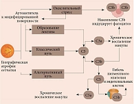 Патофизиология географической атрофии