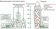 Рис. 1. Предлагаемое решение – in vitro диагностический тест ИХА-СА-62, позволяющий с высокой точностью выявить ранние бессимптомные стадии рака