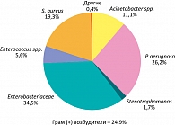 Рисунок 1. Этиология нозокомиальных инфекций в России (2006-2007), n = 2382
