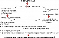 Рисунок 1. Схема действия препарата Милдронат