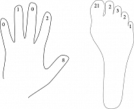 Рис. 3. Количество случаев ПМ на пальцах рук и ног