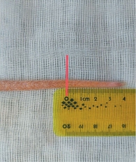 Рис. 1. Создание модели хвостового кровотечения: этап отсечения 4 см от кончика хвоста лабораторной крысы