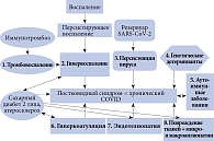 Рис. 1. Возможные механизмы развития и манифестации постковидного синдрома (адаптировано из [20])