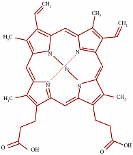 Рис. 1. Химическая формула молекулы гемоглобина, содержащего атом железа