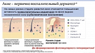 Рис. 2. Слайд из доклада д.м.н., профессора Е.А. Аравийской