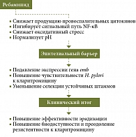 Механизм действия ребамипида в схемах эрадикации H. pylori