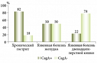 Рис. 2. Факторы вирулентности H. pylori: CagA-позитивные штаммы по аллелю VacA s1m1 и VacA s2m2
