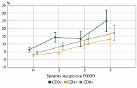 Рис. 13. Взаимосвязь между уровнем экспрессии FOXP3 и удельным весом CD3+, CD4+, CD8+