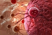 Иммунология и иммунотерапия рака молочной железы