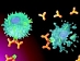 Фенотипы бронхиальной астмы и антагонисты лейкотриеновых рецепторов (монтелукаст)