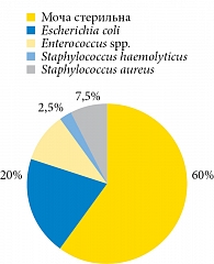 Результаты бактериологического исследования мочи пациенток основной и контрольной групп