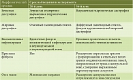 Таблица 1. Морфологическая характеристика печени лабораторных животных  на 28-й и 56-й дни эксперимента
