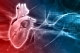 Ученые разработали биоматериал, восстанавливающий ткани сердечной мышцы